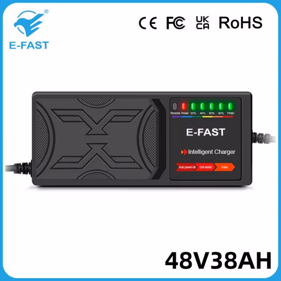 OEM E-Fast 48V38ah Ebike Tricycle Pulse Repair AGM Efb Lead-Acid Battery Charger