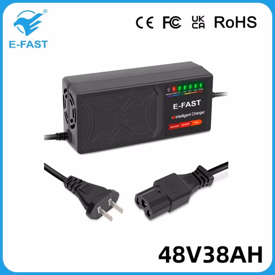 OEM E-Fast 48V38ah Ebike Tricycle Pulse Repair AGM Efb Lead-Acid Battery Charger
