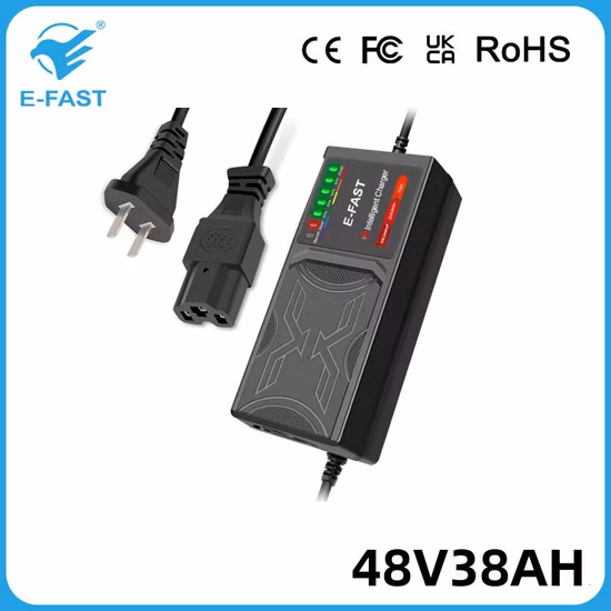 OEM E-Fast 48V38ah Ebike Tricycle Pulse Repair AGM Efb Lead-Acid Battery Charger