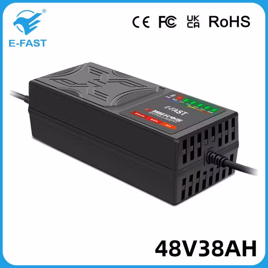 OEM E-Fast 48V38ah Ebike Tricycle Pulse Repair AGM Efb Lead-Acid Battery Charger