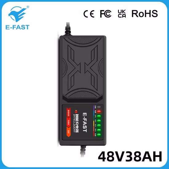 OEM E-Fast 48V38ah Ebike Tricycle Pulse Repair AGM Efb Lead-Acid Battery Charger