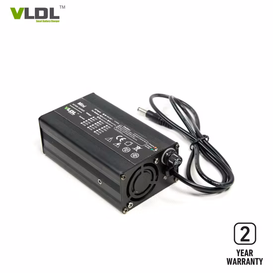 24V 2A E-Bike Battery Charger for LiFePO4 / Li-ion Battery, Automatic Cc CV Charging